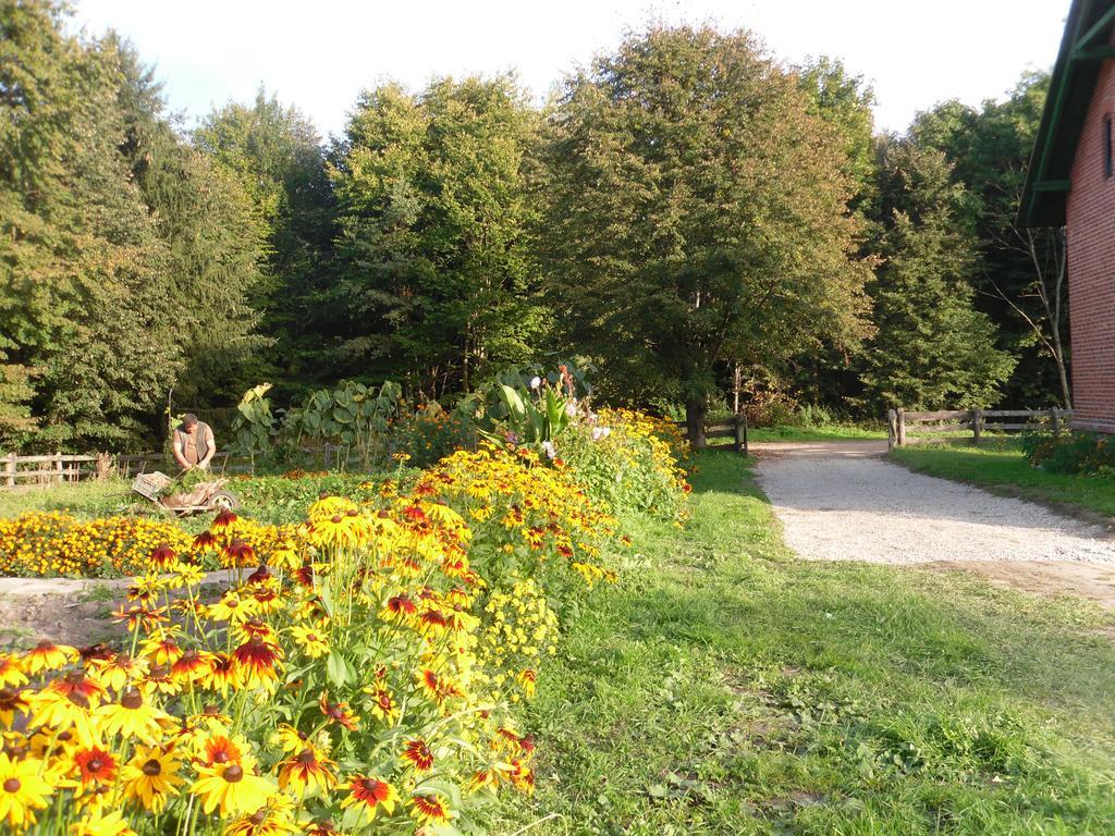 Gajowka Villa Węgorzewo Eksteriør bilde